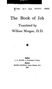 Tapa de The Book of Job