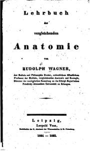 Tapa de Lehrbuch der vergleichenden anatomie