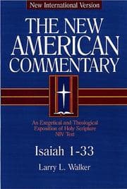 Tapa de The New American Commentary