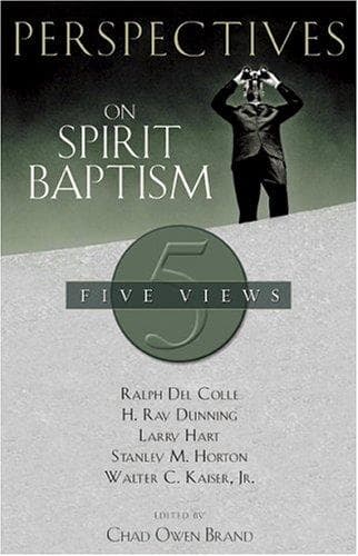 Tapa de Perspectives on spirit baptism