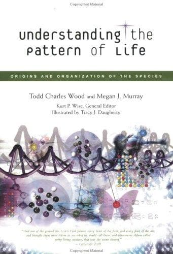 Tapa de Understanding the pattern of life