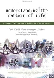 Tapa de Understanding the pattern of life