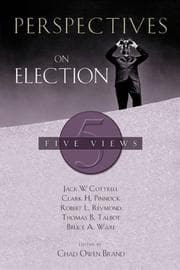 Tapa de Perspectives on Election