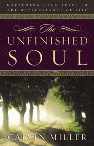Tapa de The unfinished soul