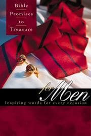 Tapa de Bible promises to treasure for men
