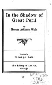 Tapa de In the shadow of great peril