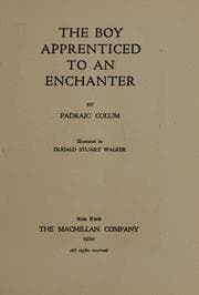 Tapa de The boy apprenticed to an enchanter