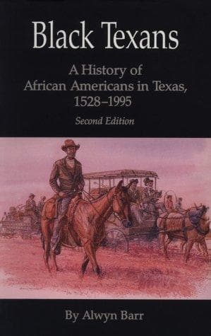 Tapa de Black Texans