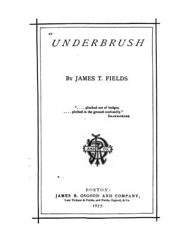Tapa de Underbrush