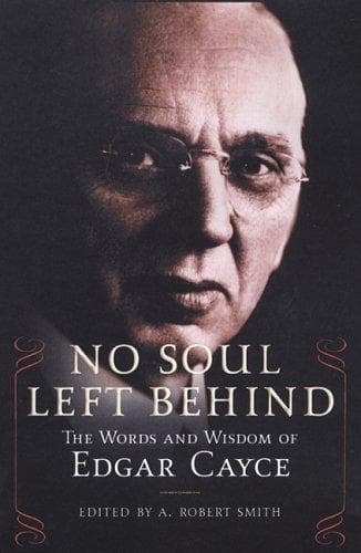 Tapa de No soul left behind