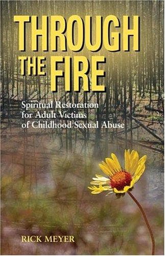 Tapa de Through The Fire