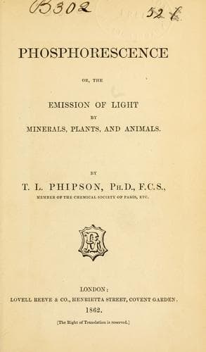 Tapa de Phosphorescence