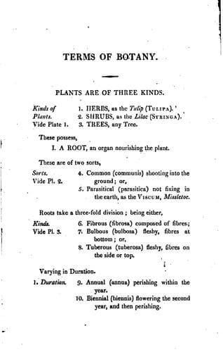 Tapa de Elements of botany