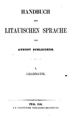 Tapa de Handbuch der litauischen sprache