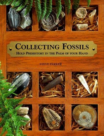 Tapa de Collecting fossils