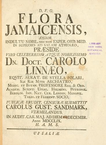 Tapa de Flora Jamaicensis