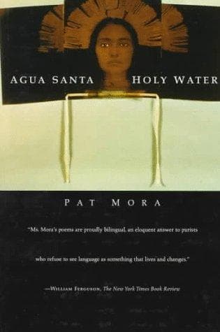 Tapa de Agua Santa