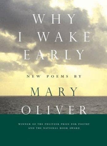 Tapa de Why I Wake Early