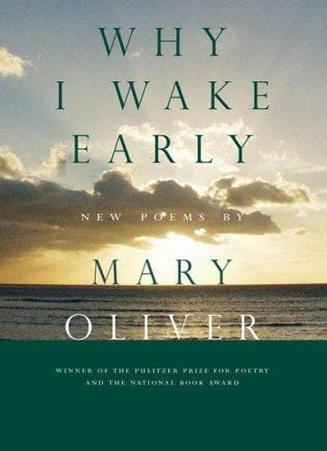 Tapa de Why I Wake Early