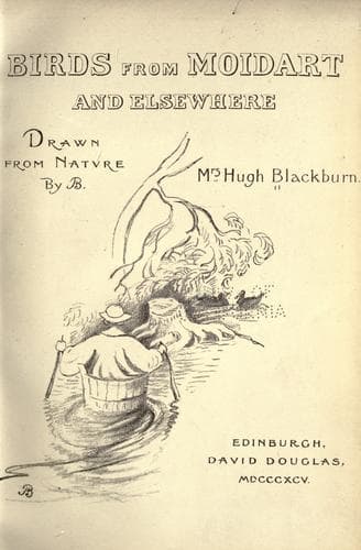Tapa de Birds from Moidart and elsewhere
