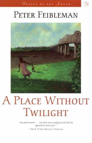 Tapa de A place without twilight