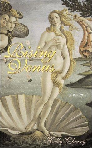 Tapa de Rising Venus