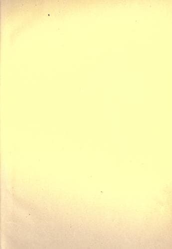 Tapa de Love's martyr