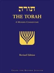 Tapa de The Torah