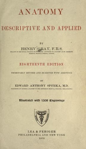 Tapa de Anatomy, descriptive and applied