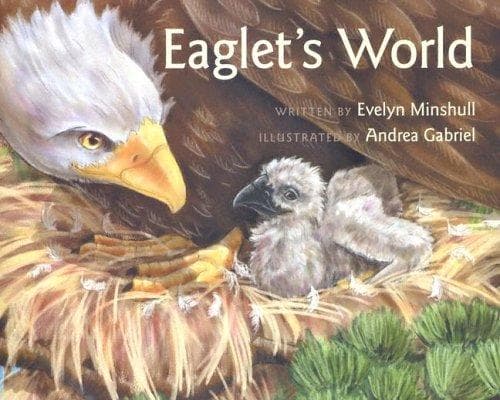 Tapa de Eaglet's World