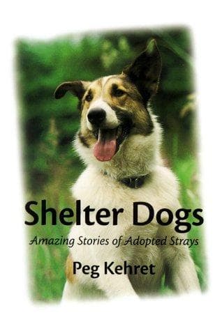 Tapa de Shelter Dogs