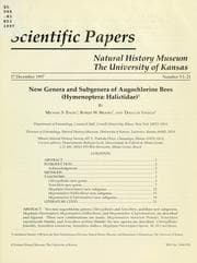 Tapa de New genera and subgenera of augochlorine bees (Hymenoptera: Halictidae)