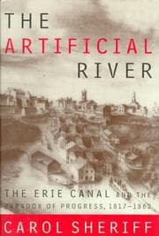 Tapa de The Artificial River