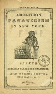 Tapa de Abolition fanaticism in New York