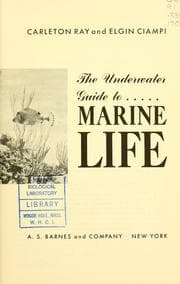 Tapa de The underwater guide to marine life