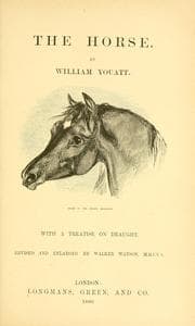 Tapa de The horse