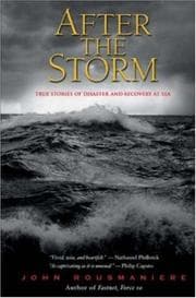 Tapa de After the Storm