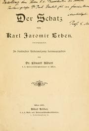 Tapa de Der Schatz