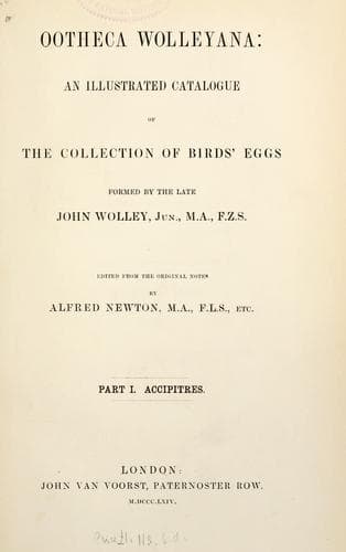 Tapa de Ootheca  wolleyana