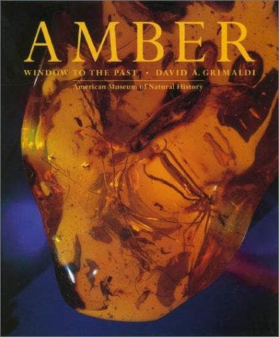 Tapa de Amber