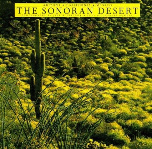 Tapa de Sonoran Desert