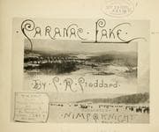 Tapa de Saranac Lake in winter
