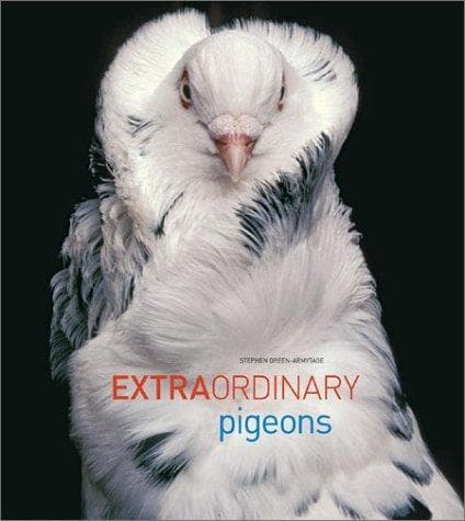 Tapa de Extraordinary Pigeons