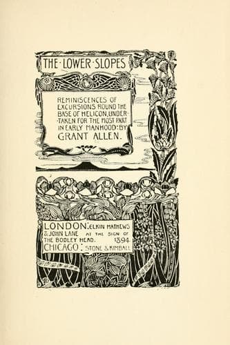 Tapa de The lower slopes