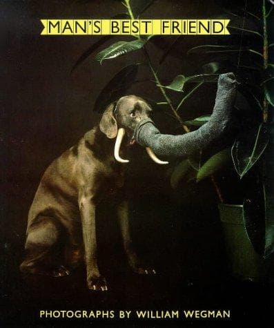 Tapa de Man's Best Friend