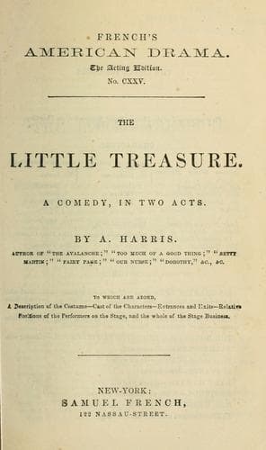 Tapa de The little treasure