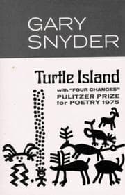 Tapa de Turtle Island