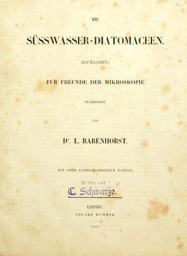 Tapa de Die Süsswasser-Diatomaceen (Bacillarien)
