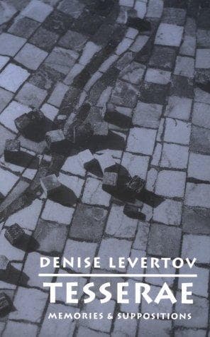 Tapa de Tesserae