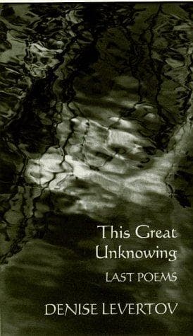 Tapa de This Great Unknowing
